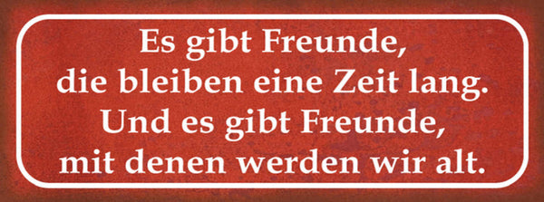 Schild Es Gibt Freunde Die Bleiben Eine Zeit Lang & Mit Denen Werden Wir Alt