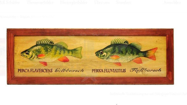 Kuk nostalgie holzschild fische goldbarsch barsch flußbarsch