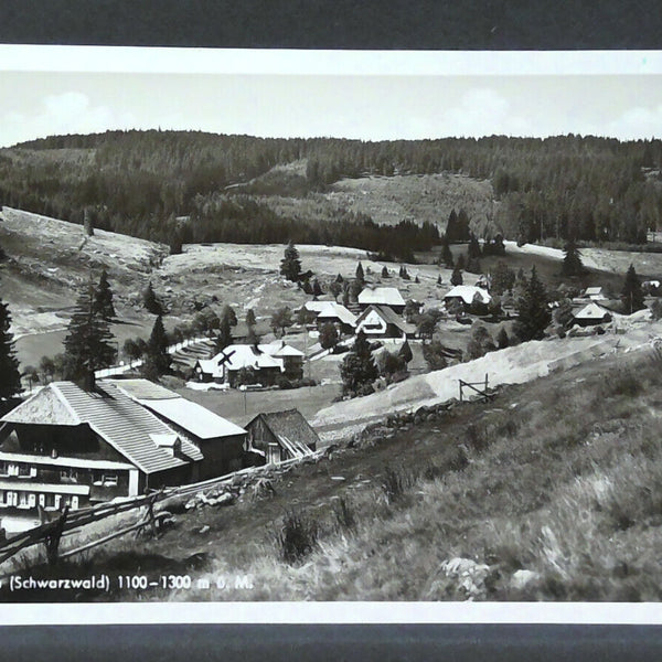 Neuglashütten Schwarzwald Gasthaus zum Grünen Baum JW 402935 F