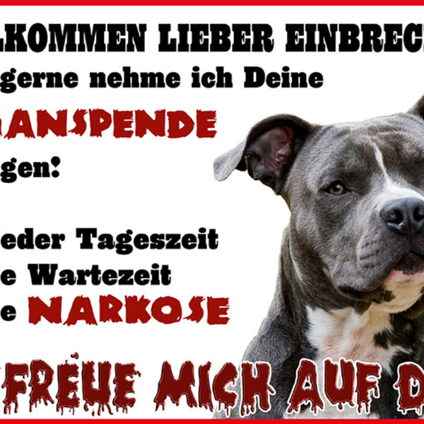Schild Spruch Willkommen lieber Einbrecher Sehr gerne nehme ich Warnung Hund JW