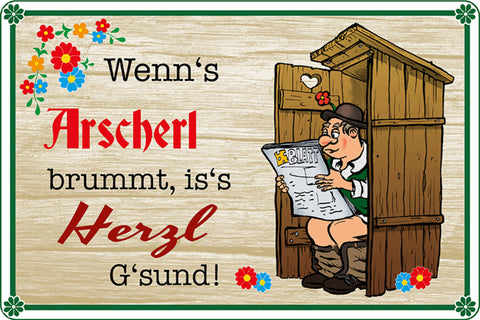 Schild Spruch Wenns Arscherl brummt is's Herzerl gsund Toilette Klo JW