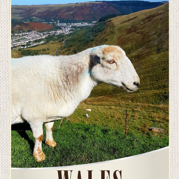 Schild Wales United Kingdom GB Schaf Landschaft 12x18 20x30 30x40 Blech/Holz