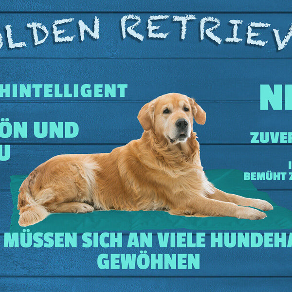 Schild Spruch Golden Retriever Steckbrief Hochintelligent Nett Schön Hund JW