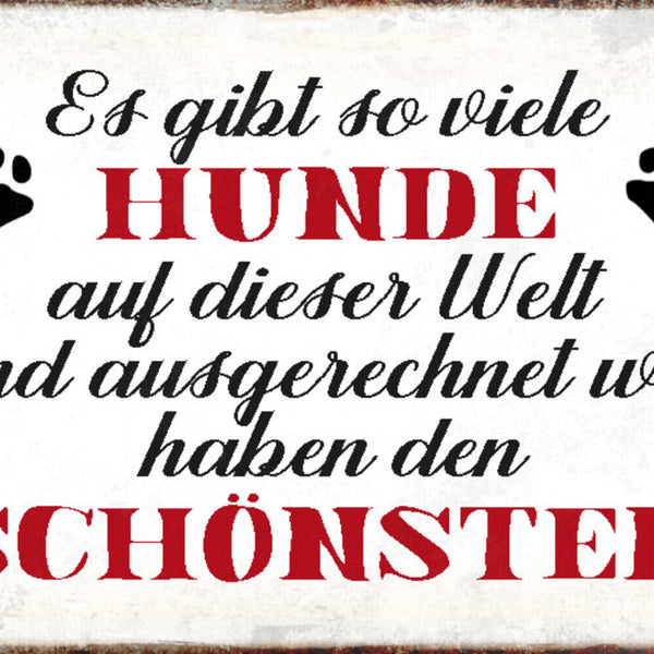 Schild Spruch Gibt so viele Hunde ausgerechnet wir haben den schönsten JW