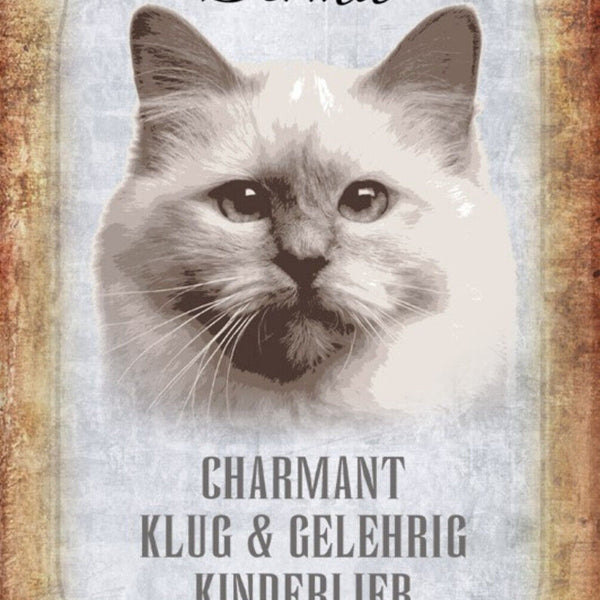 Schild Spruch Birma Katze Steckbrief Charmant Kinderlieb JW