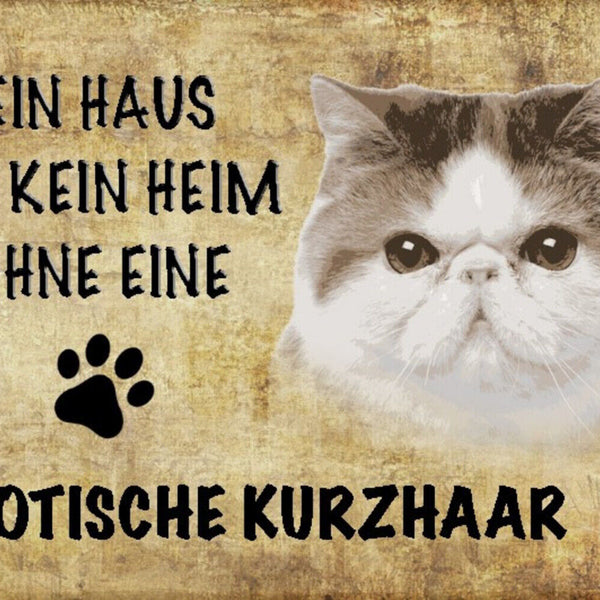 Schild Spruch Haus ist kein Heim ohne Exotische Kurzhaar Katze JW
