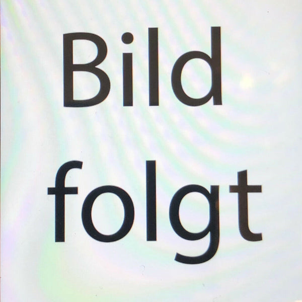 Nostalgie Holzschild Bayern Landesbefugter Maler