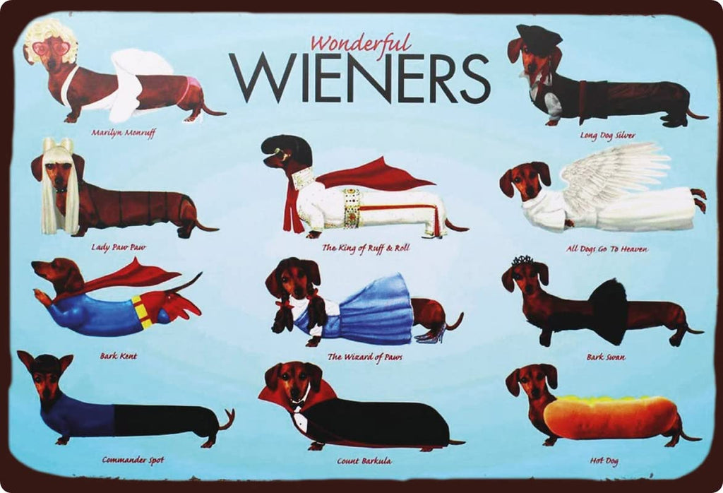 Metall Schild 20x30cm Wonderful Wieners Blechschild