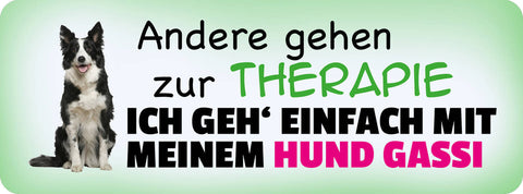 Schild Andere Gehen Zur Therapie Ich Geh Einfach Mit Meinem Hund Gassi 27 x 10