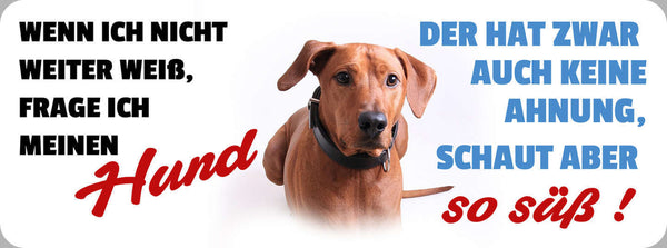 Schild Wenn Ich Nicht Weiter Weiß Frage Ich Meinen Hund Keine Ahnung Schaut Süß
