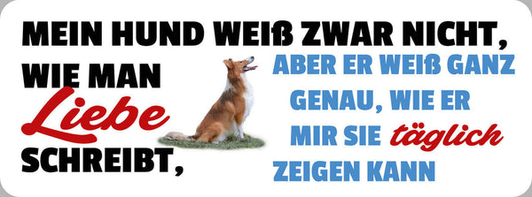Schild Mein Hund Weiß Zwar Nicht Wie Man Liebe Schreibt Mir Täglich Zeigen 27x10