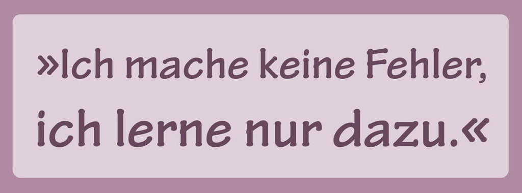 Schild Ich Mache Keine Fehler Ich Lerne Nur Dazu Perfekt 27 x 10 Blech od. Holz
