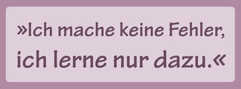 Schild Ich Mache Keine Fehler Ich Lerne Nur Dazu Perfekt 27 x 10 Blech od. Holz