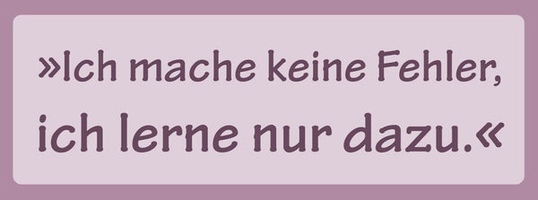 Schild Ich Mache Keine Fehler Ich Lerne Nur Dazu Perfekt 27 x 10 Blech od. Holz