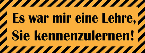 Schild Es War Mir Eine Lehre Sie Kennenzulernen 27 x 10 Blech od. Holz