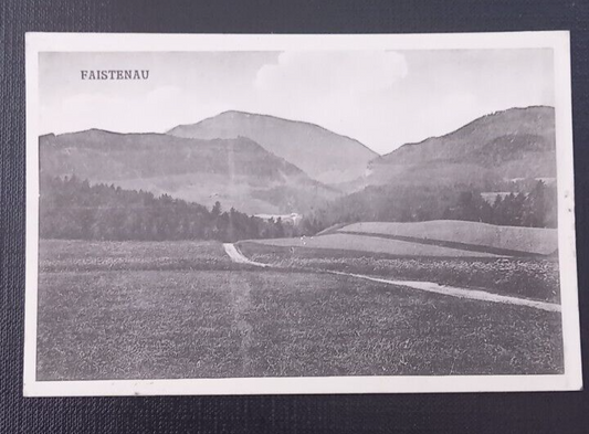 Salzburg Faistenau Landschaft 600261A gr