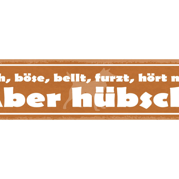 Schild Frech Böse Bellt Furzt Hört Nicht Aber Hübsch Hund 46 x 10 Blech od. Holz