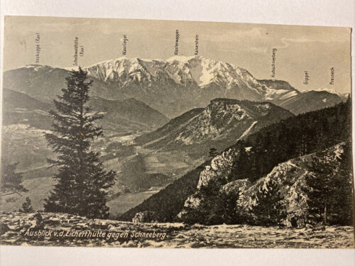 Ausblick v.d. Eicherthütte gegen Schneeberg 410051 AH