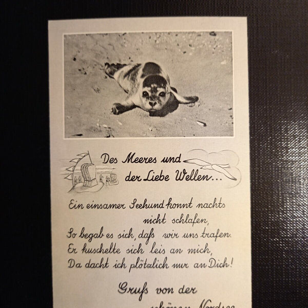 Seehunde, Gruß von der Nordsee 402802 gr C