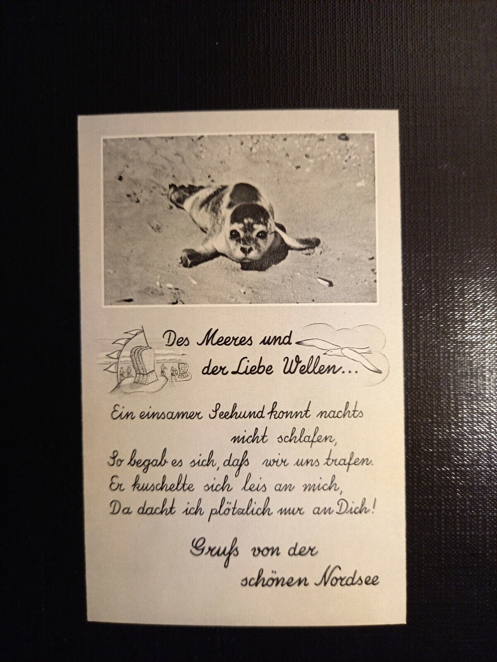 Seehunde, Gruß von der Nordsee 402802 gr C