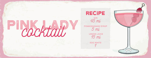 Schild Pink Lady Cocktail Rezept Bar Alkohol Drink Gin Wermut 27x10Blech od.Holz