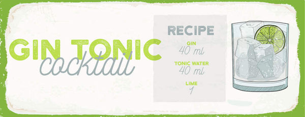 Schild Gin Tonic Cocktail Rezept Bar Alkohol Drink Limette 27x10 Blech od.Holz