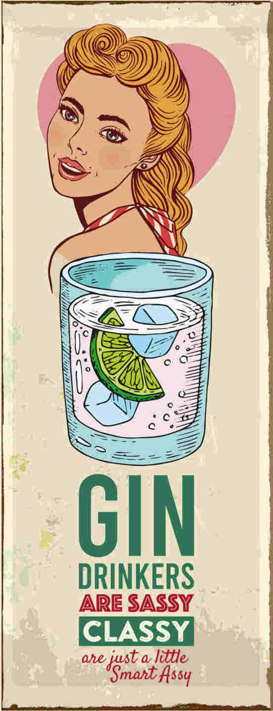 Schild Gin Drinking Are Sassy Classy Smart Assy Alkohol 27x10 Blech od.Holz