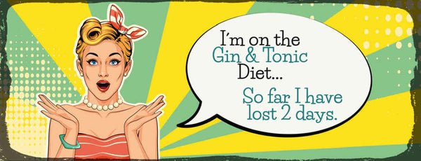 Schild I'm On A Gin & Tonic Diet So Far I Have Lost 2 Days 27x10 Blech od.Holz