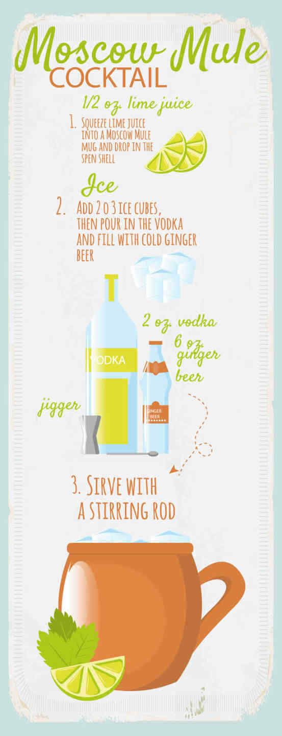 Schild Moscow Mule Cocktail Rezept Bar Alkohol Drink Wodka 27x10 Blech od.Holz