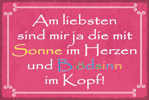 Nostalgie Schild Sonne Herzen Blödsinn Kopf 12x18 / 20x30 / 30x40 Blech od. Holz