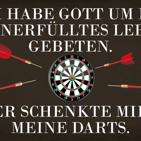 Nostalgie Schild Gott schenkte mir Darts 12x18 / 20x30 / 30x40 Blech od. Holz