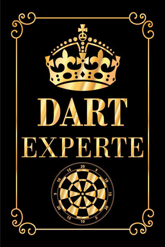 Nostalgie Schild Dart Experte Scheibe Krone 12x18 / 20x30 / 30x40 Blech od. Holz