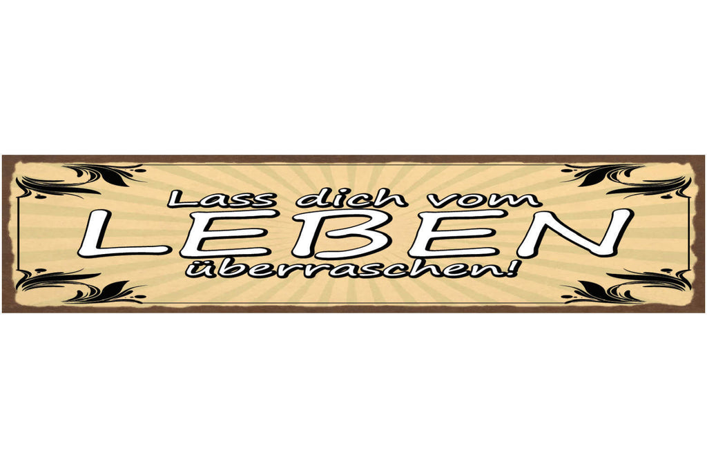 Schild Lass Dich vom Leben Überraschen Überraschung 46 x 10 Blech od. Holz
