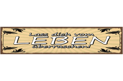 Schild Lass Dich vom Leben Überraschen Überraschung 46 x 10 Blech od. Holz
