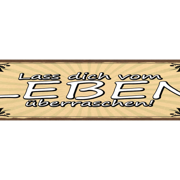 Schild Lass Dich vom Leben Überraschen Überraschung 46 x 10 Blech od. Holz