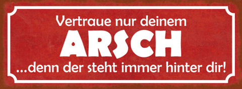 Schild Vertraue Nur Deinen Arsch Denn Der Steht Immer Hinter Dir Hintern 27x10
