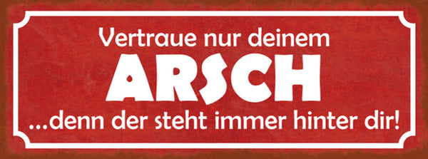Schild Vertraue Nur Deinen Arsch Denn Der Steht Immer Hinter Dir Hintern 27x10