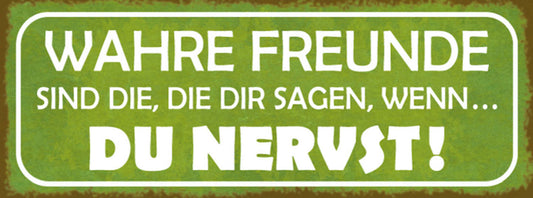 Schild Wahre Freunde Sind Die Die Dir Sagen Wenn Du Nervst 27x10 Blech od.Holz