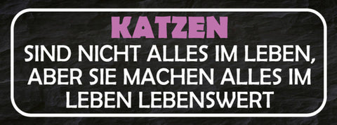 Schild Katzen Sind Nicht Alles Im Leben Aber Sie Machen Alles Lebenswert 27x10