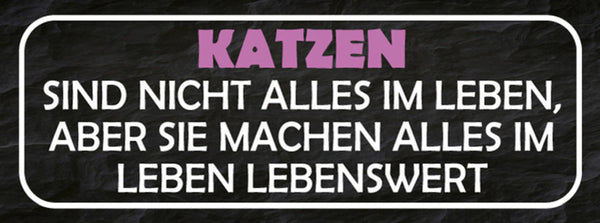 Schild Katzen Sind Nicht Alles Im Leben Aber Sie Machen Alles Lebenswert 27x10