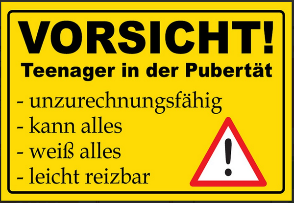 Nostalgie Schild Teenager in der Pupertät  12x18/20x30/30x40 Blech od. Holz