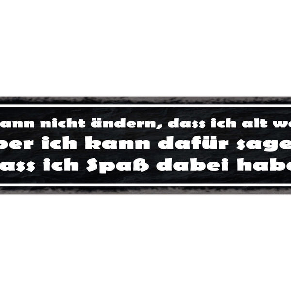 Schild Nichts Ändern Alt Werden Dafür Sorgen Spaß Zu Haben 46 x 10 Blech od.Holz