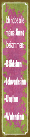 Schild Alle Meine Sinne Beisammen Blödsinn Unsinn Wahnsinn 46 x 10 Blech od.Holz