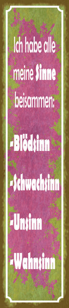 Schild Alle Meine Sinne Beisammen Blödsinn Unsinn Wahnsinn 46 x 10 Blech od.Holz