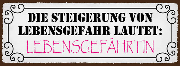 Schild Die Steigerung Von Lebensgefahr Bedeutet Lebensgefährtin Ehe Paar 27x10