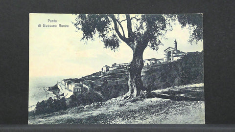 Punia di Bussana Nuova Meer JW 500268 F