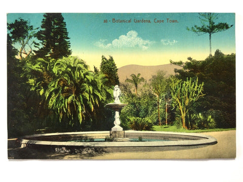 Kapstadt Cape Town - Botanical Gardens - Botanische Gärten & Brunnen 40243 TH