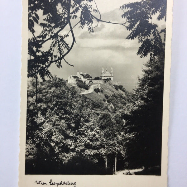 Wien - Leopoldsberg 534