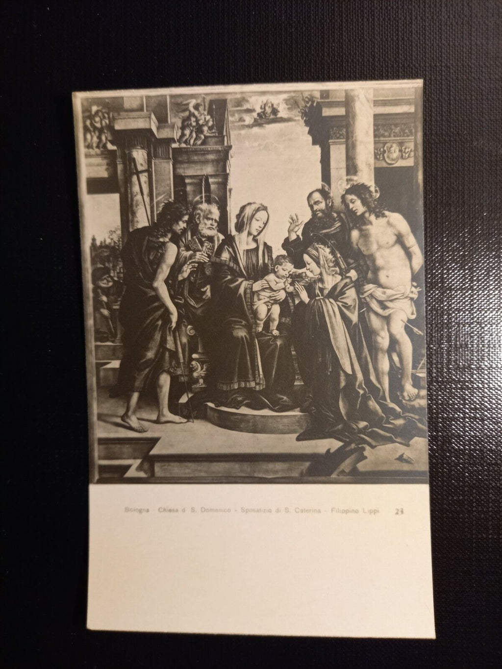 Bologna 400565 gr A