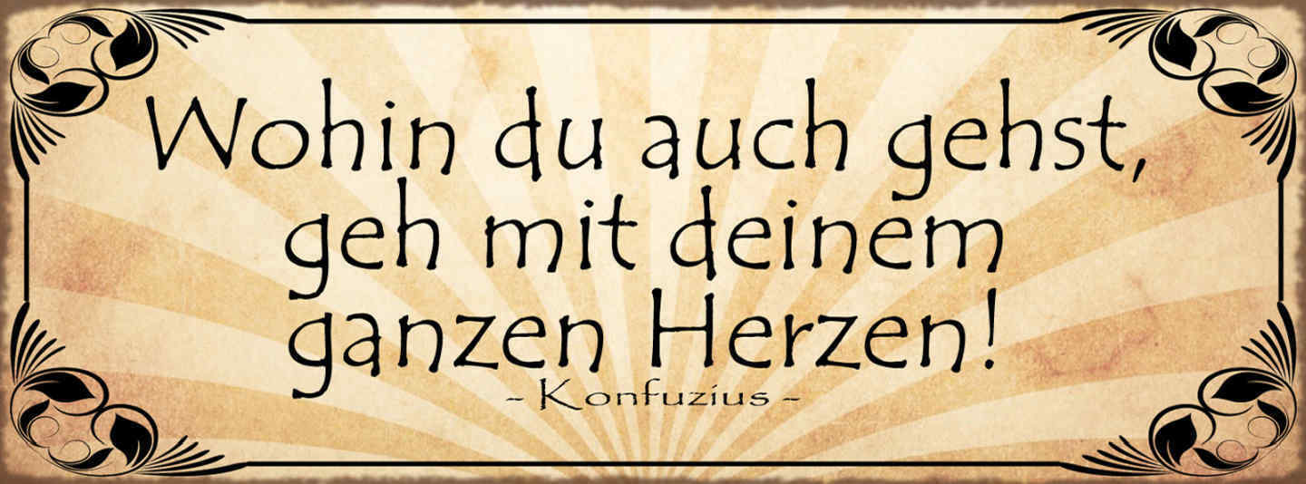 Schild Wohin Du Auch Gehst Gehe Mit Deinem Herzen Konfuzius 27x10 Blech od.Holz